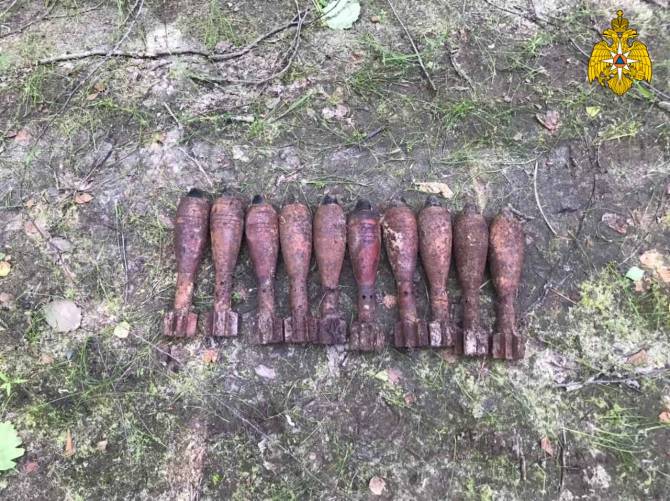 Под Навлей нашли 10 миномётных мин