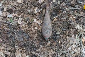 В селе Карачевского района у края дороги нашли минометную мину