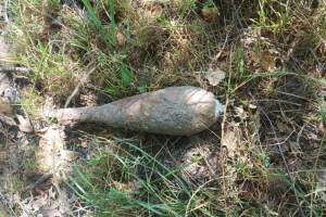 Под Жуковкой нашли артиллерийский снаряд и минометную мину