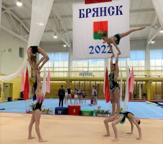 В Брянске состоялся чемпионат области по спортивной акробатике