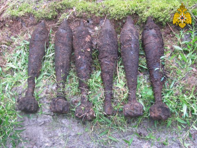 В лесу под Брасово нашли шесть мин и шесть гранат