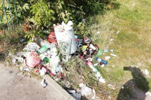 В Брянске детская площадка «Катюша» утонула в мусоре