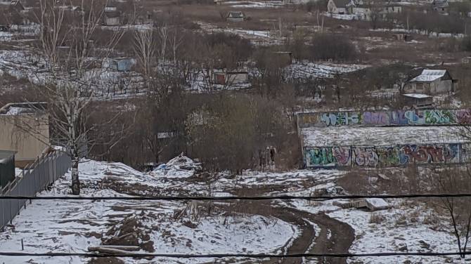 В Брянске люди снова вышли на шашлыки на фоне режима самоизоляции