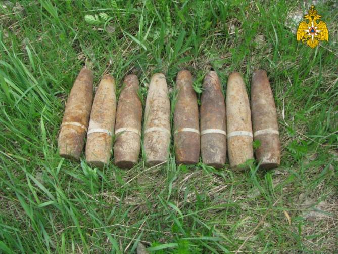 В Навлинском районе нашли восемь артиллерийских снарядов
