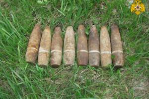 В Навлинском районе нашли восемь артиллерийских снарядов