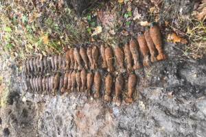 В лесу под брянским селом Журиничи нашли 50 мин