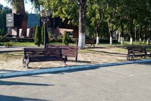 В Клинцах сквер возле памятника героям Отечества превратили в свинарник