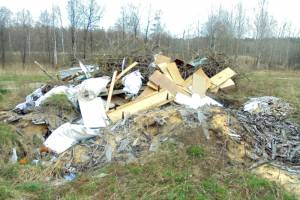 В Навлинском районе обнаружили три свалки на сельхозземлях