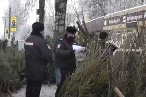 В Брянске полицейские провели рейды по елочным базарам