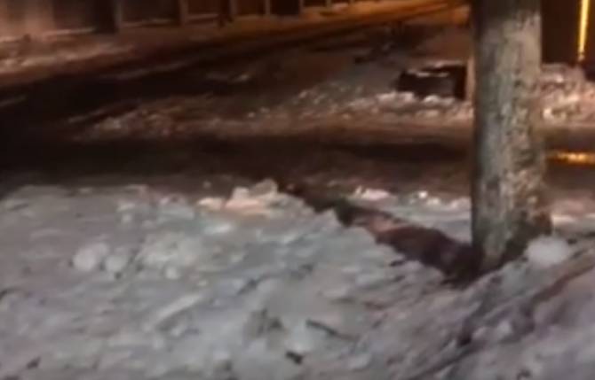 В Брянске убрали огромную свалку на улице Пересвета
