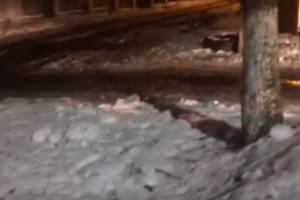 В Брянске убрали огромную свалку на улице Пересвета