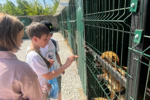 В брянском приюте для бездомных животных прошел День открытых дверей