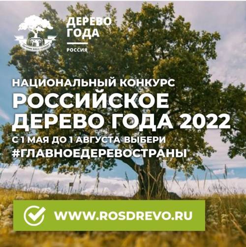 Романовский дуб из Локтя поборется за победу в конкурсе «Российское дерево года»