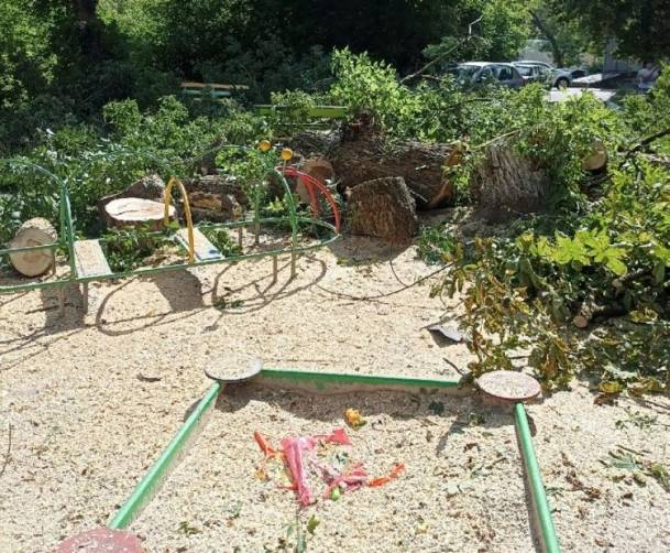 В Брянске коммунальщики завалили спиленными деревьями детскую площадку