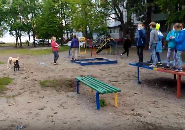 В Брянске собачницы загнали детей на теннисный стол