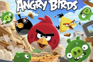 Создатель Angry Birds подал в суд на владельца брянских супермаркетов «Журавли»