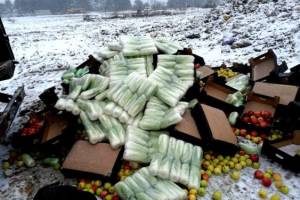 Под Новозыбковом раздавили трактором 3 тонны яблок и капусты