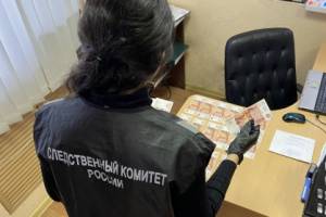 В Новозыбкове мужчину осудят за взятку полицейскому в 100 тысяч рублей