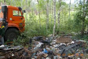 В Брянске продолжили очищать от свалок лес возле дизельного завода