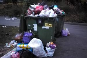 В Брянске выросла мусорная свалка возле детского реабилитационного центра