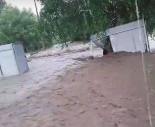 В Брянской области после ливня затопило деревню Алексеевку 