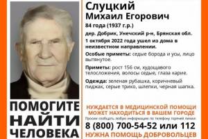 Пропавшего в Брянской области 84-летнего Михаила Слуцкого нашли погибшим