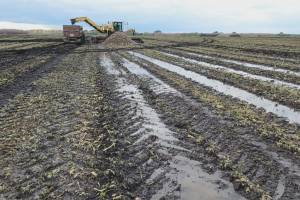 На Брянщине введен режим чрезвычайной ситуации в АПК из-за переувлажнения почвы дождями