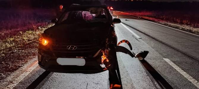 На брянской трассе водитель Hyundai насмерть сбил 33-летнего мужчину