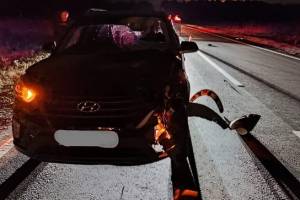 На брянской трассе водитель Hyundai насмерть сбил 33-летнего мужчину
