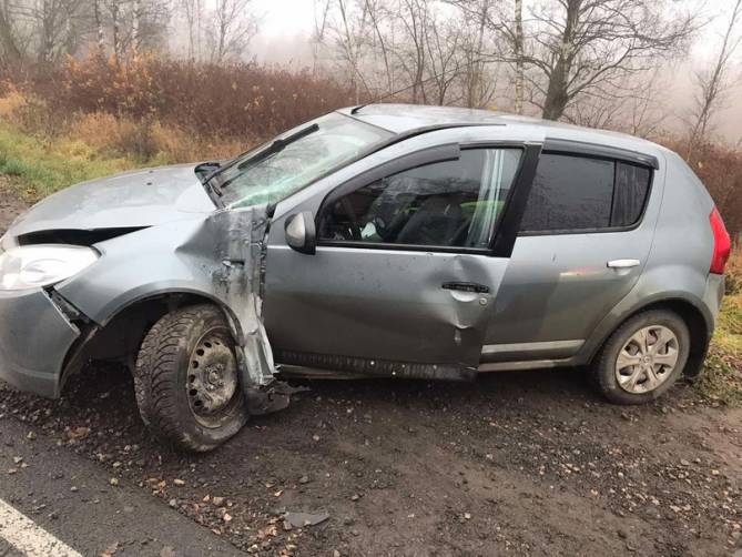 Под Выгоничами автомобилистка на Renault врезалась в столб и разбила голову