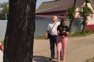 В Бежицком районе Брянска наметили для валки 22 опасных дерева