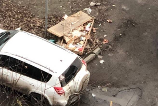 Жители Брянска пожаловались на стихийную свалку мусора