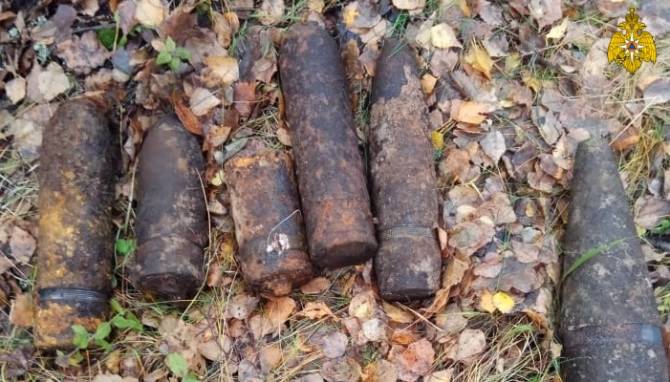 В лесу под Навлей нашли 44 боеприпаса времён войны