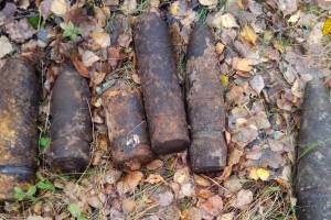 В лесу под Навлей нашли 44 боеприпаса времён войны