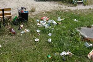 В брянском поселке Шибенец детская площадка утонула в мусоре
