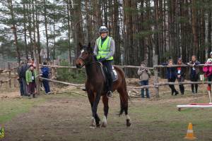 В Брянске назвали победителей турнира по конному туризму