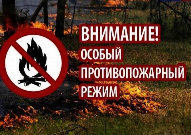 В Брянской области снова введен противопожарный режим в лесах