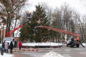 В Брянске главную городскую ёлку украсят 500 игрушек