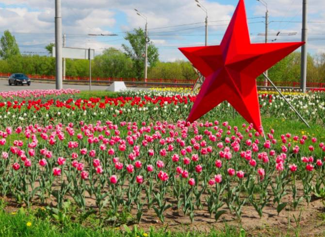 В Брянске за сезон высадят 250 тысяч цветов