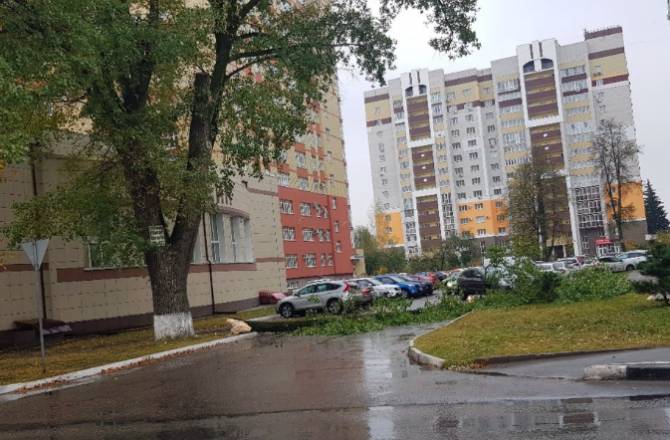 В Брянске проезд к домам на улице Крахмалева перегородило упавшее дерево