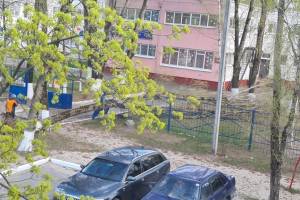 В Бежицком районе Брянска дерево рухнуло на территорию детского сада