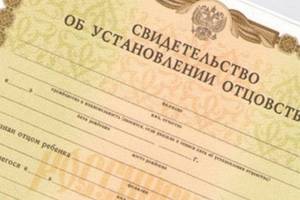 Суд лишил таджика фиктивного отцовства над брянским ребенком