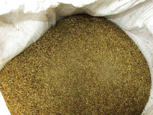 На Брянщину не пустили более 3,3 тонн семян из Беларуси