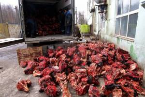 Белорус ввез в Брянскую область мясо под видом ДСП
