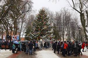В Брянске состоялось открытие главной городской елки