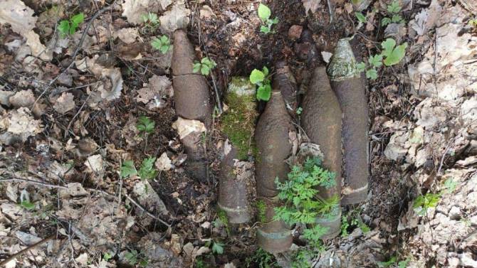 В Унечском районе нашли восемь артиллерийских снарядов