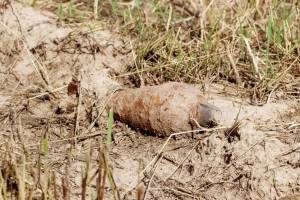 В Фокинском районе Брянска нашли гранату Ф1