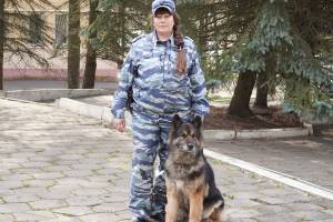 В Брянске овчарка помогла полицейским найти тайник с оружием и боеприпасами