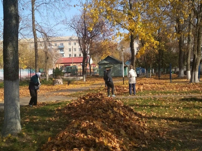 В Стародубе парк и скверы очистили от опавшей листвы