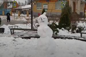 В центре Жуковки сняли на видео сонного снеговика